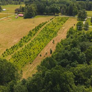 DJI_20250618142935_0463_D