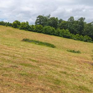 DJI_20250618132002_0385_D