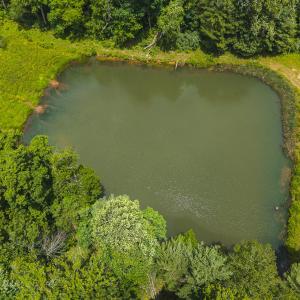 DJI_20250618132319_0395_D