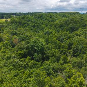 DJI_20250618132332_0396_D