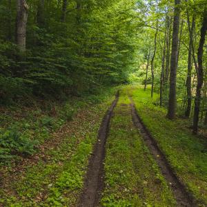 DJI_20250618132812_0405_D