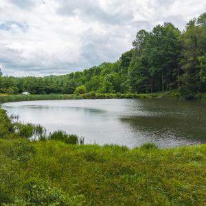 DJI_20250618133144_0412_D