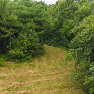 DJI_20250618133622_0426_D