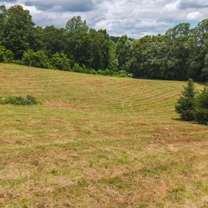 DJI_20250618132010_0386_D