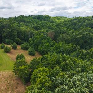 DJI_20250618132121_0389_D