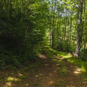 DJI_20250618132432_0397_D