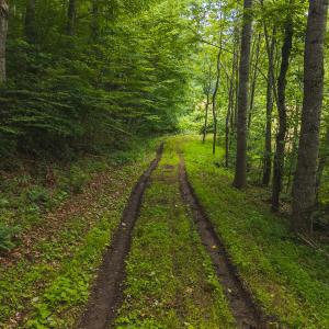 DJI_20250618132819_0406_D