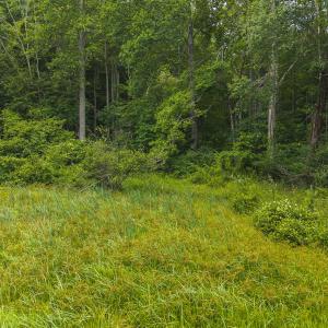 DJI_20250618133128_0411_D