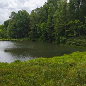 DJI_20250618133149_0413_D