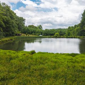 DJI_20250618133308_0417_D