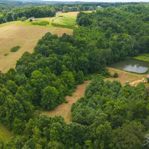 DJI_20250618133720_0431_D