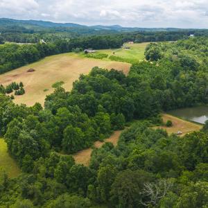 DJI_20250618133744_0433_D