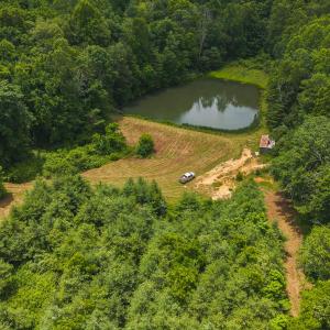 DJI_20250618133819_0435_D