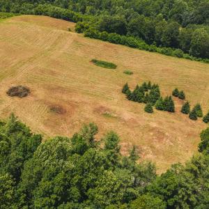 DJI_20250618135200_0437_D