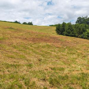 DJI_20250618131751_0381_D