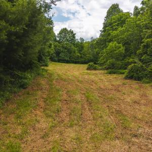 DJI_20250618133541_0424_D