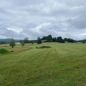image2 (1)