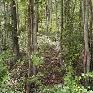 Photo #5 of OVERTON DR, BUMPASS, VA 1.1 acres