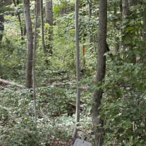 Photo #3 of OVERTON DR, BUMPASS, VA 1.1 acres