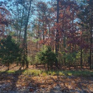 20221101_105942_resized