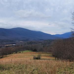 Lot view