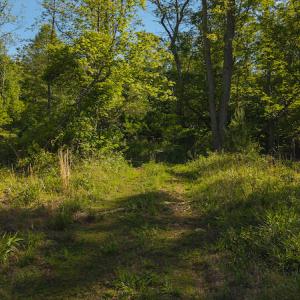 DJI_20250508093216_0664_D