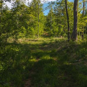 DJI_20250508093242_0666_D