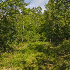 DJI_20250508093353_0669_D