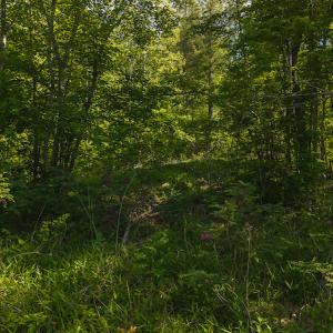 DJI_20250508093436_0672_D
