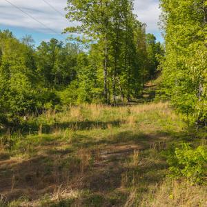 DJI_20250508093532_0675_D