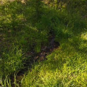 DJI_20250508093609_0676_D