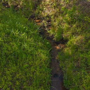 DJI_20250508093621_0677_D