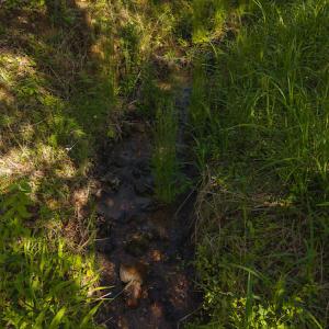 DJI_20250508093645_0678_D