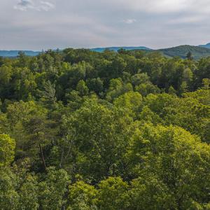DJI_20250524173009_0228_D