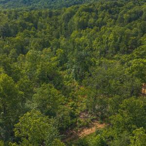 DJI_20250524173119_0232_D