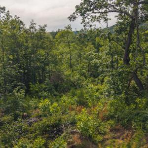 DJI_20250524174152_0237_D