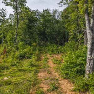 DJI_20250524174311_0240_D copy