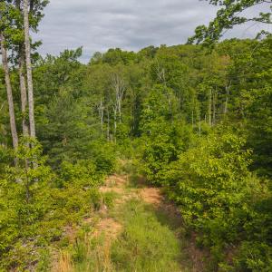 DJI_20250508094833_0681_D