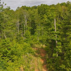 DJI_20250508094916_0683_D