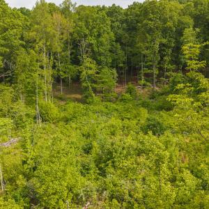 DJI_20250508094940_0684_D