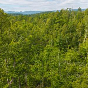 DJI_20250508095019_0687_D