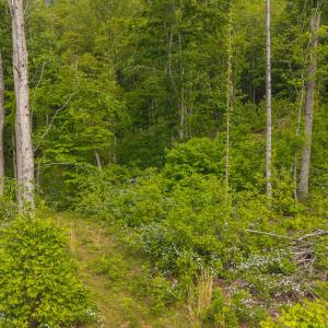 DJI_20250508095108_0689_D