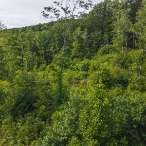 DJI_20250524174743_0250_D