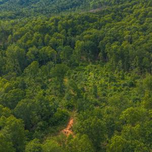 DJI_20250524174803_0251_D