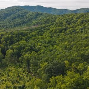 DJI_20250524174900_0253_D