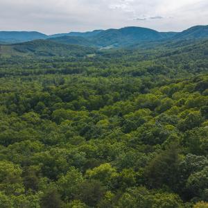 DJI_20250524174935_0254_D