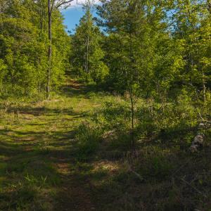 DJI_20250508093303_0667_D