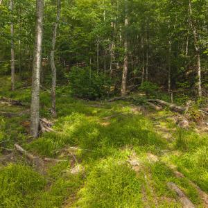 DJI_20250524172146_0213_D