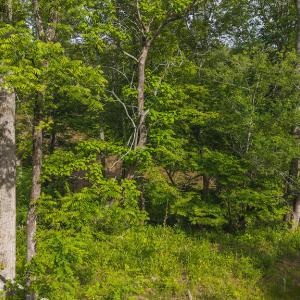 DJI_20250524172247_0216_D