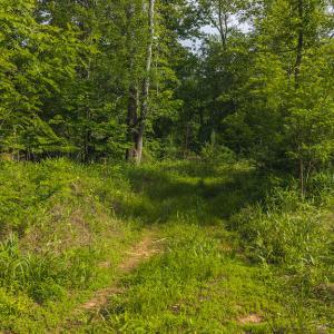DJI_20250524172303_0217_D